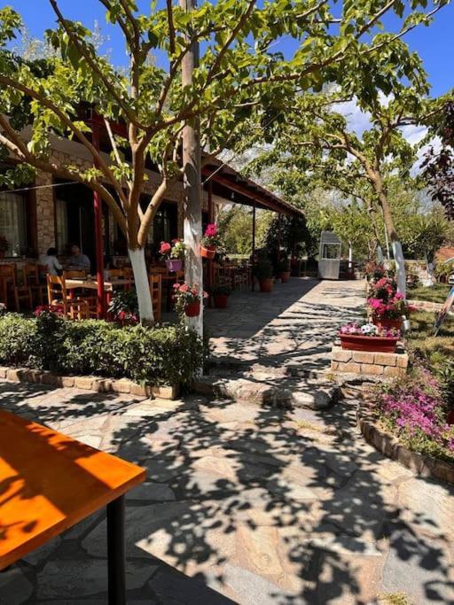 شقة Family Woodland Oasis Vipgreece Kírinthos المظهر الخارجي الصورة