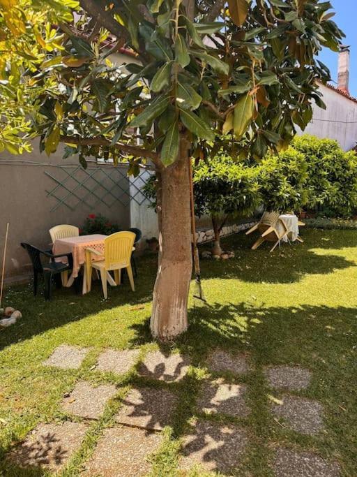 شقة Family Woodland Oasis Vipgreece Kírinthos المظهر الخارجي الصورة